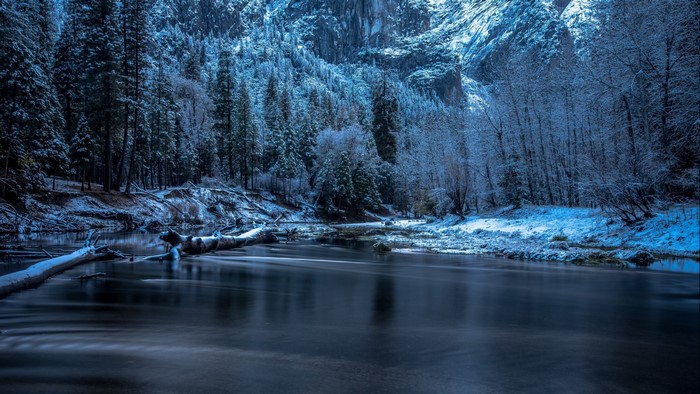 Snowy Forest and River with Fallen Tree
