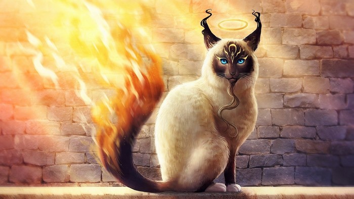 Siamese Cat with Fiery Tail and Halo