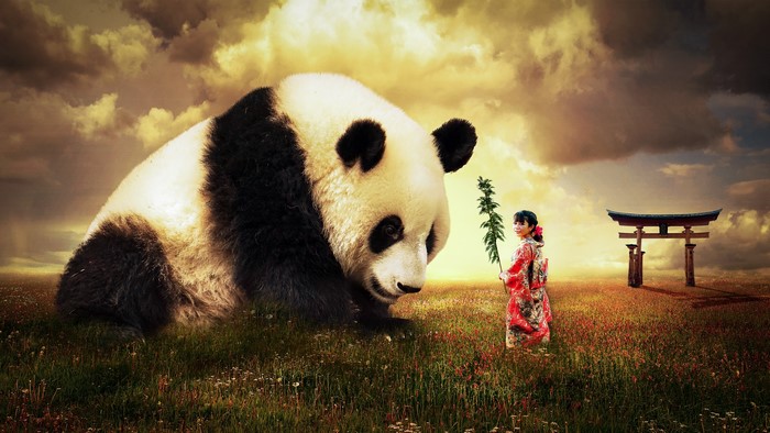 Giant Panda and Girl in Field with Torii Gate