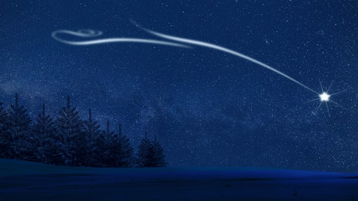 4K Night Sky with Shooting Star and Trees