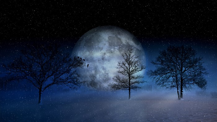 4K Night Sky with Moon and Trees