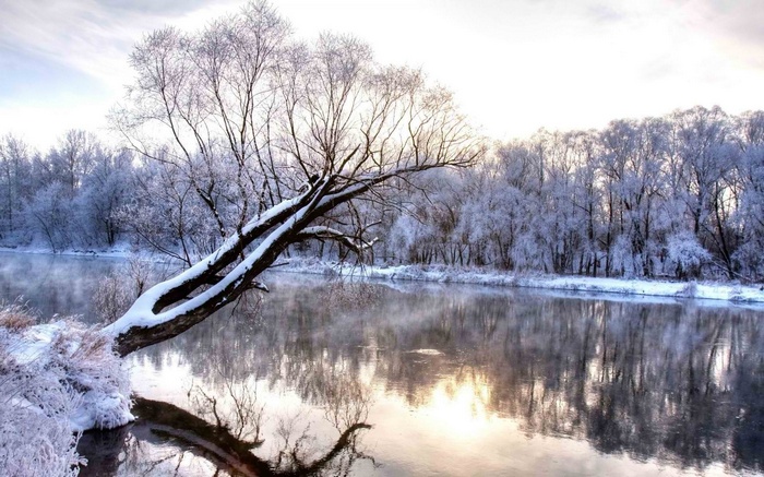 Snow-covered trees reflected in a winter river
