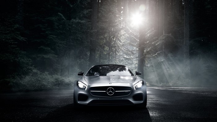 Mercedes-Benz GT S Coupe in Forest