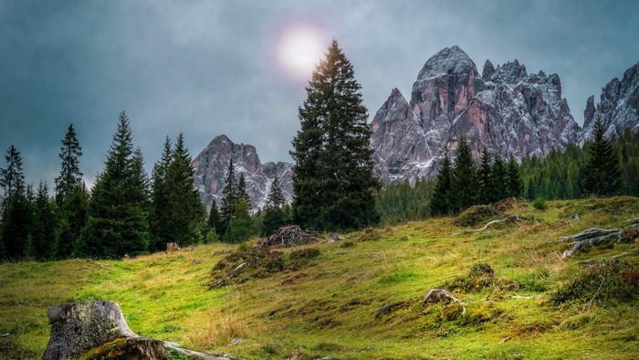 4K Dolomites Mountain Landscape with Pine Trees
