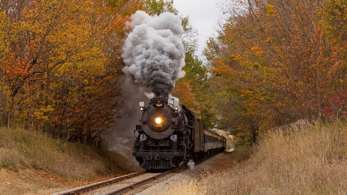Steam Locomotive in Autumn Forest