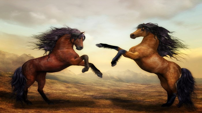 Two horses rearing up in a dry landscape