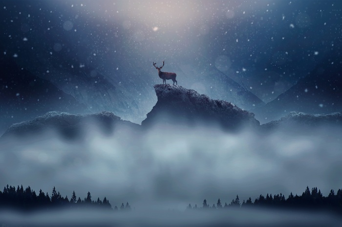 Deer standing on a snowy mountain peak in winter