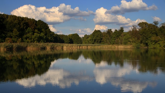 4K Lake with Trees and Clouds