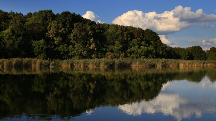 4K Lake with Forest and Clouds Reflection