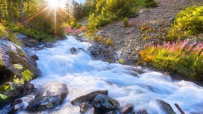 Sunlight streams through trees onto a flowing river