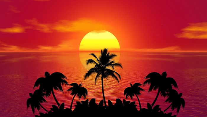 Sunset over the ocean with palm trees