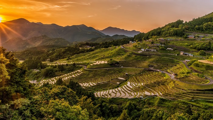 4K Rice Terraces on a Mountain Slope at Sunset