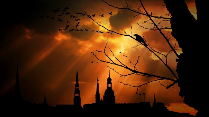 Silhouette of a city skyline at dusk with birds flying