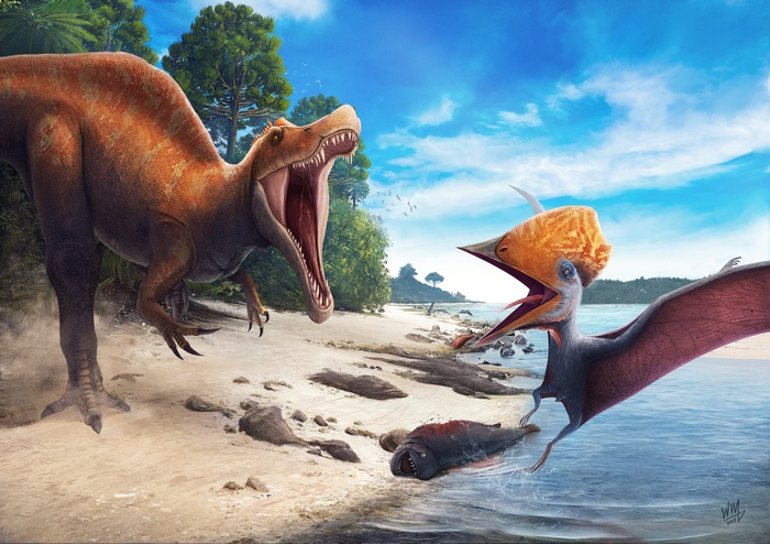Tupuxuara, Angaturama, Competition, Northeast, Dinosaurs, 4K