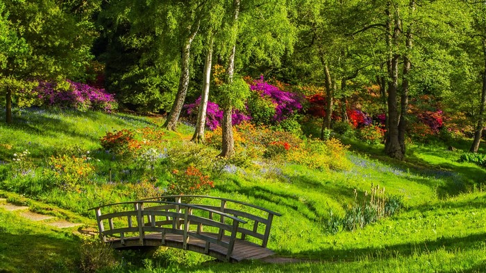 Wooden bridge in a park with colorful flowers and trees