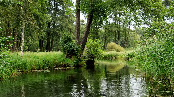 Nature