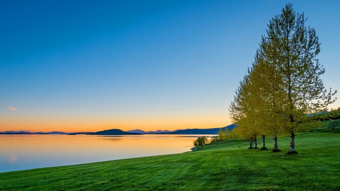 Trees on a grassy hill by a lake at sunset