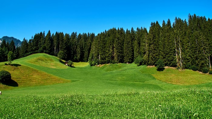 4K Nature Landscape