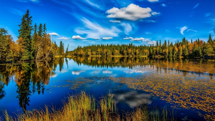 Autumn forest reflected in a calm lake