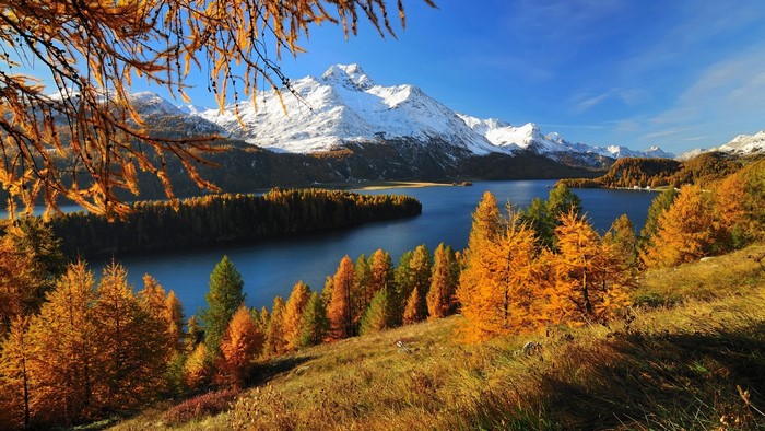 Autumnal Lake and Snow-Capped Mountains