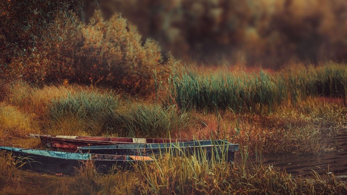 Two boats on a grassy shore with autumn foliage