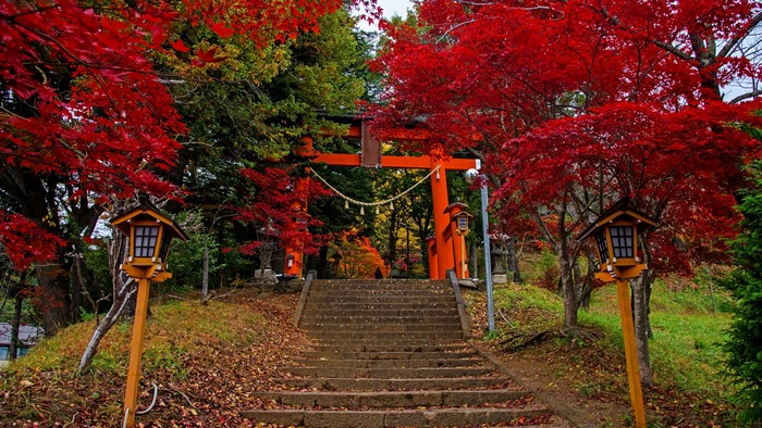 Torii gate with autumn foliage