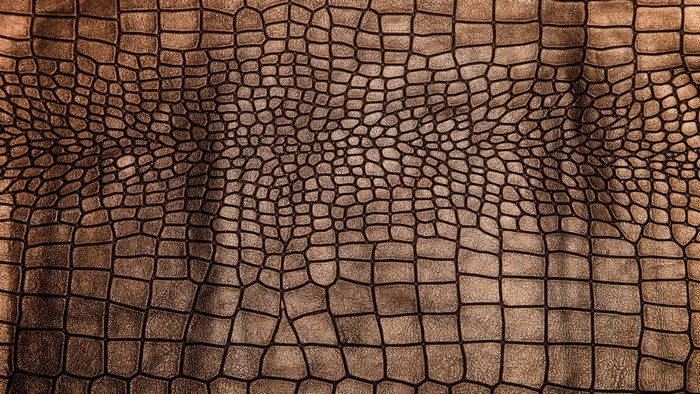 Brown Crocodile Leather Texture