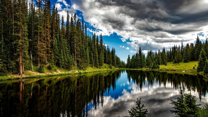 Lake reflecting pine forest and cloudy sky