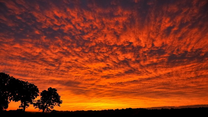 Fiery Sunset Clouds Over Silhouetted Trees