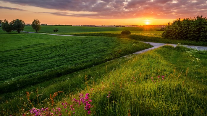 4K Sunset over Green Fields and Road
