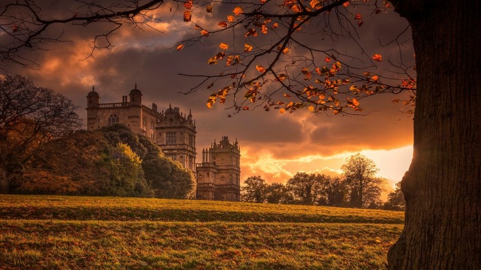 Castle on a hill during sunset with autumn leaves
