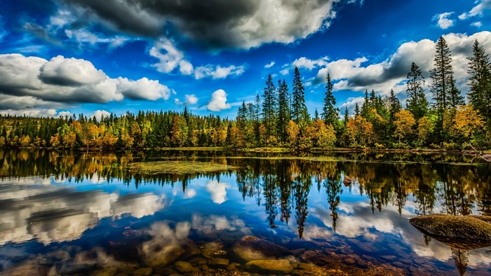 4K Nature Landscape with Lake and Forest