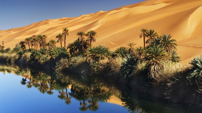 Oasis with palm trees and sand dunes