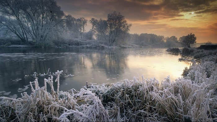 Frozen River and Trees at Sunrise