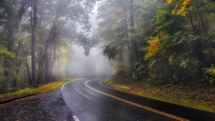 Winding road through a foggy forest in autumn