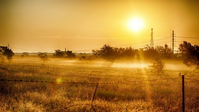Sunrise over a misty field with a windmill
