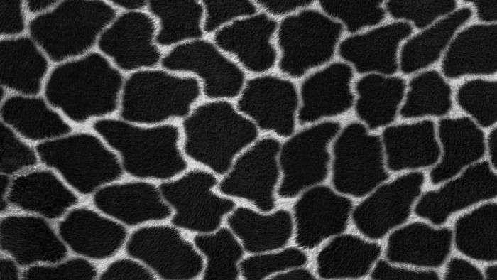 Giraffe Pattern Texture