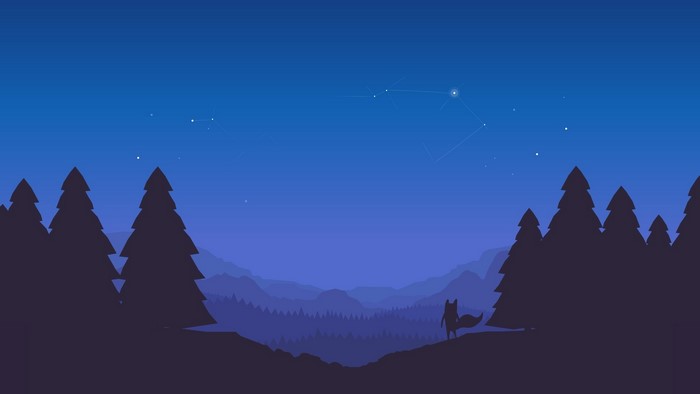 Fox looking at constellations in the night sky