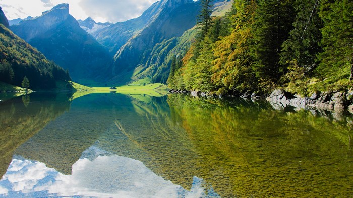 4K Lake Reflection of Mountains and Forest