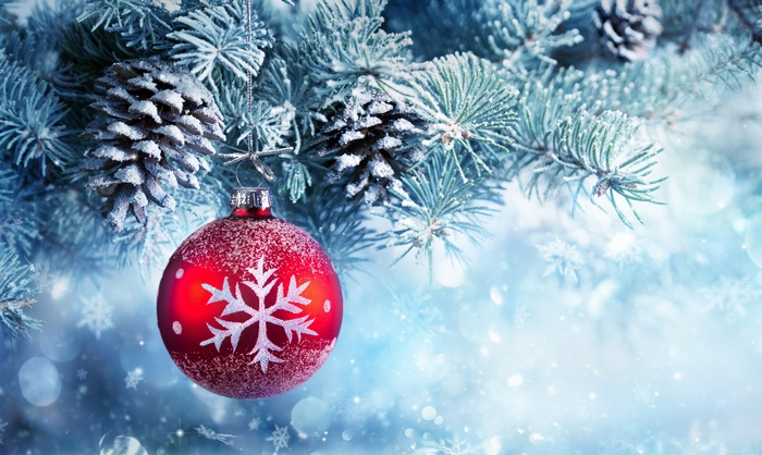 Snow, 4K, Christmas ornament, Frost, Christmas ball, Winter, Pine trees