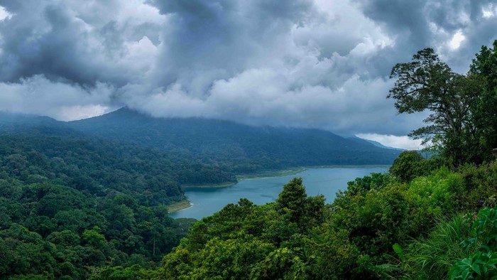 Misty Mountains and Tropical Lake