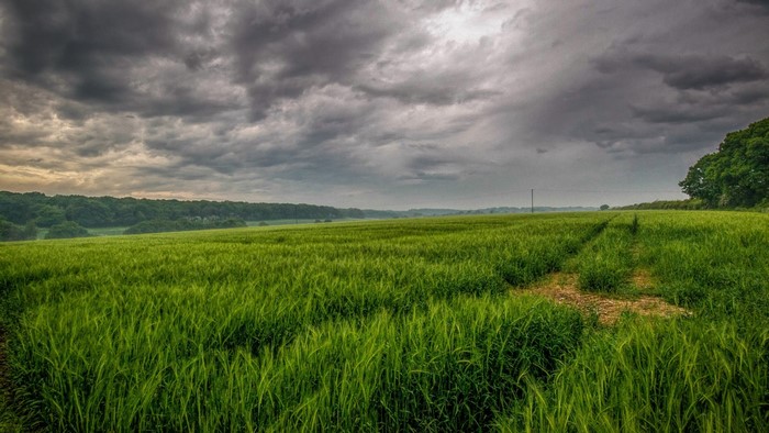 Green field under stormy clouds