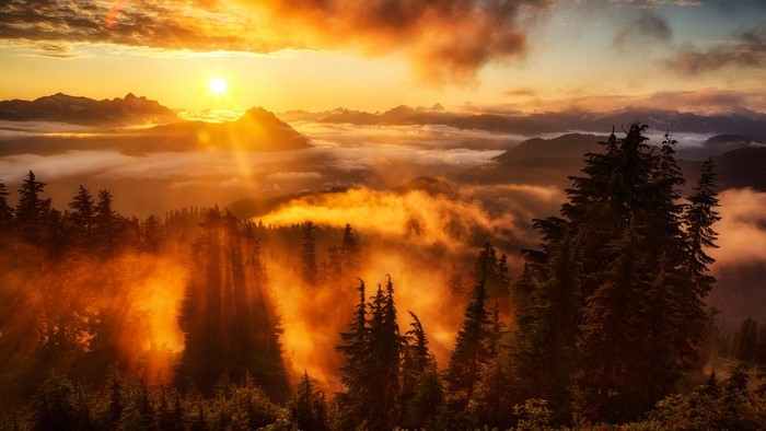 Sunrise over misty mountains and forest