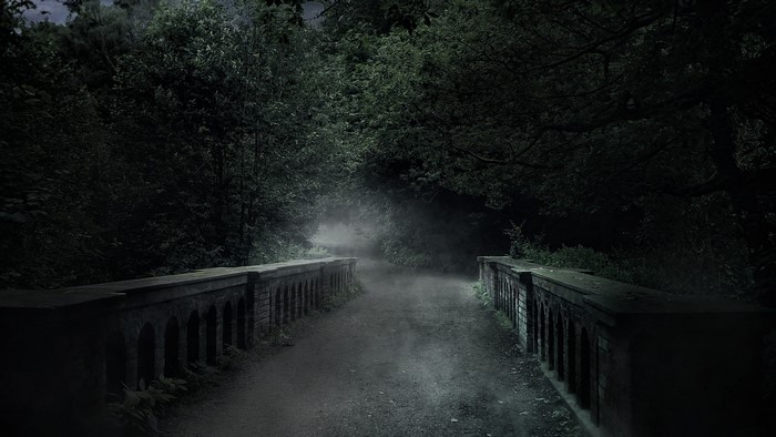 A foggy bridge in a dark forest at night