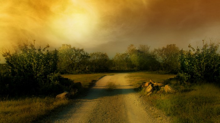 Dirt road through trees under cloudy sky