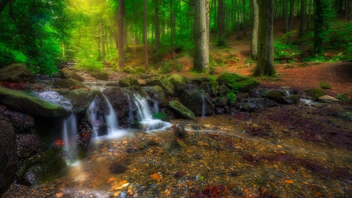 Forest creek with waterfalls and rocks