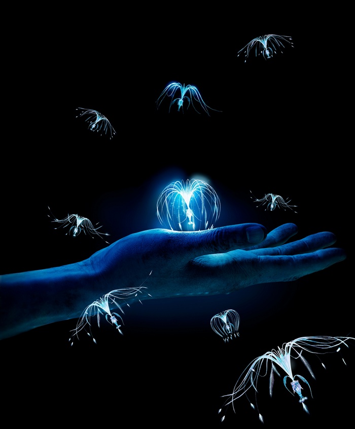 Avatar Tree of Souls Woodsprites 4K