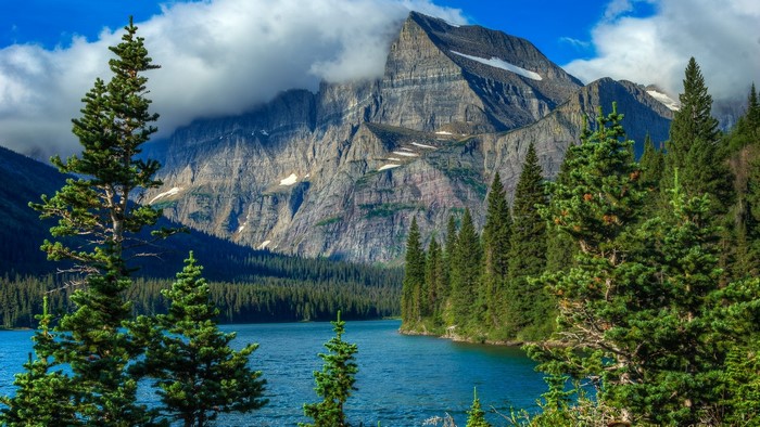 Mountain Lake with Pine Trees and Clouds