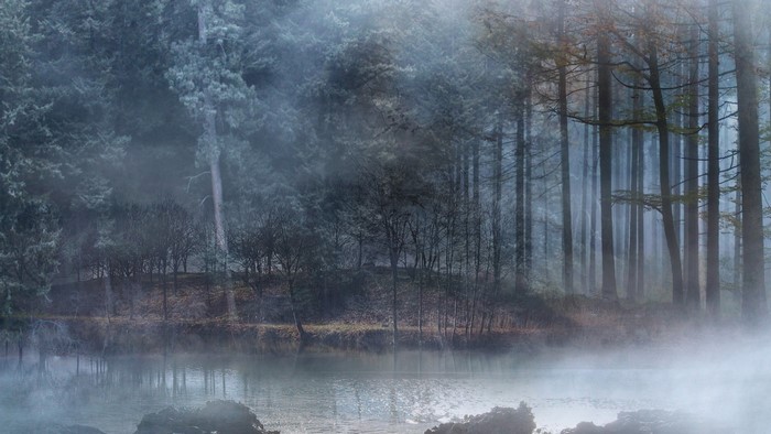 Misty forest with a lake