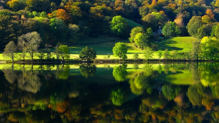 Autumn trees reflected in a calm river